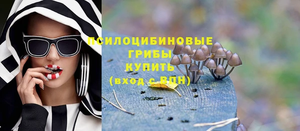 PSILOCYBIN Бронницы