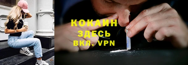 PSILOCYBIN Бронницы