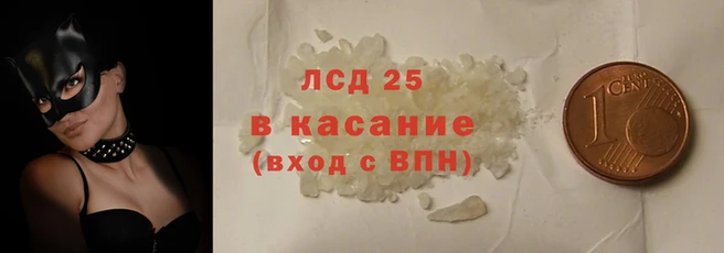 PSILOCYBIN Бронницы